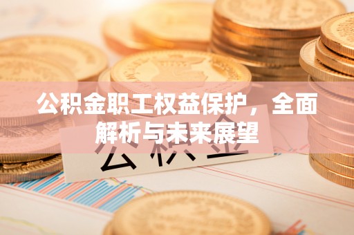 漳州公积金职工权益保护，全面解析与未来展望