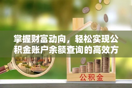 漳州掌握财富动向，轻松实现公积金账户余额查询的高效方式