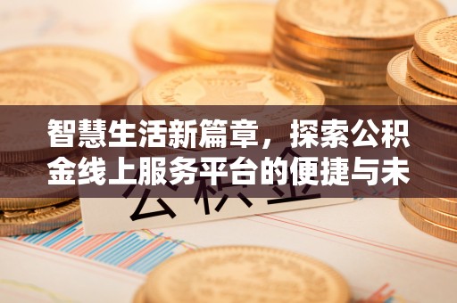 漳州智慧生活新篇章，探索公积金线上服务平台的便捷与未来