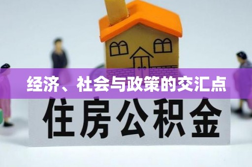 漳州经济、社会与政策的交汇点