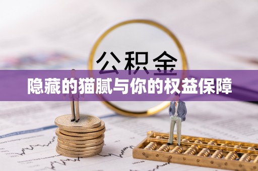 漳州隐藏的猫腻与你的权益保障