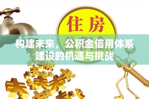 漳州构建未来，公积金信用体系建设的机遇与挑战